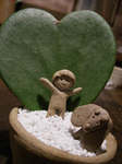 CIMG5223-thumbnail2.jpg
