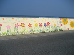 IMG_2684.JPG